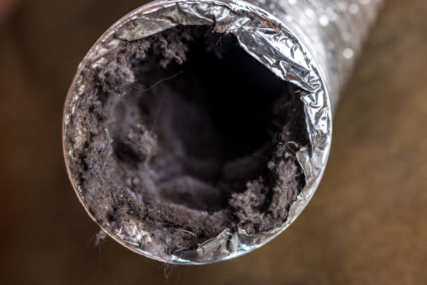 Best Affordable Air Duct Cleaning  in Parker, FL