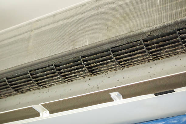 Best HVAC Duct Inspection Services  in Parker, FL